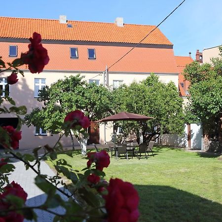 Apartamenty W Sercu Chelmna Chelmno  Bagian luar foto
